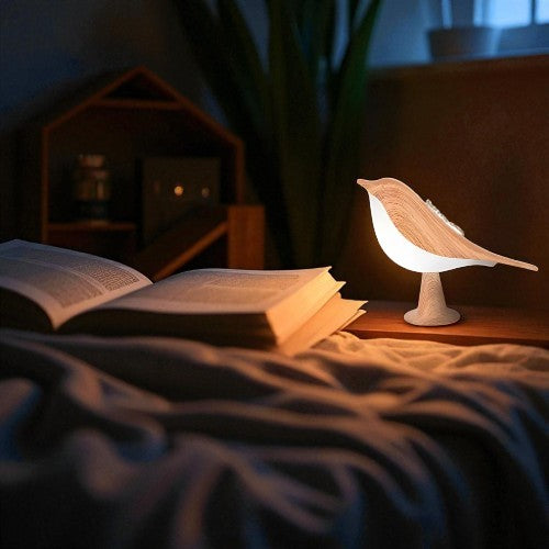 SkyLight